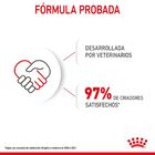 Royal Canin Starter Mother&Baby Mini pienso para perros, , large image number null